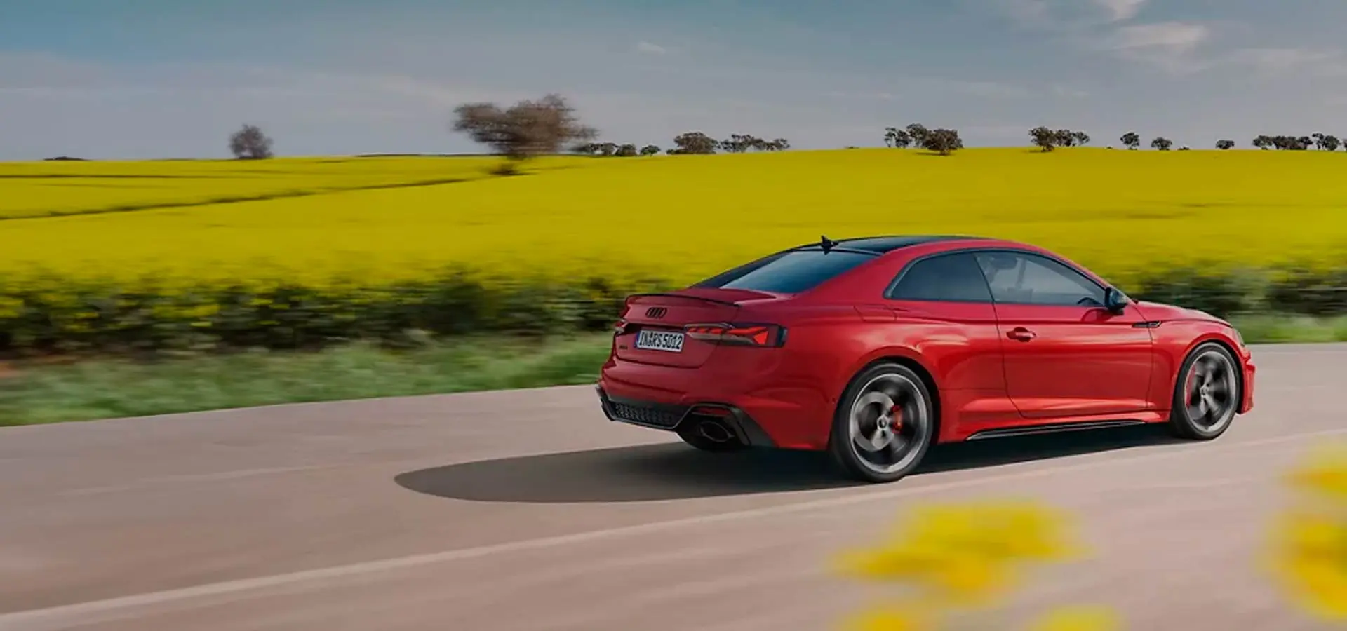 Revisió gratuïta Audi Spring Check