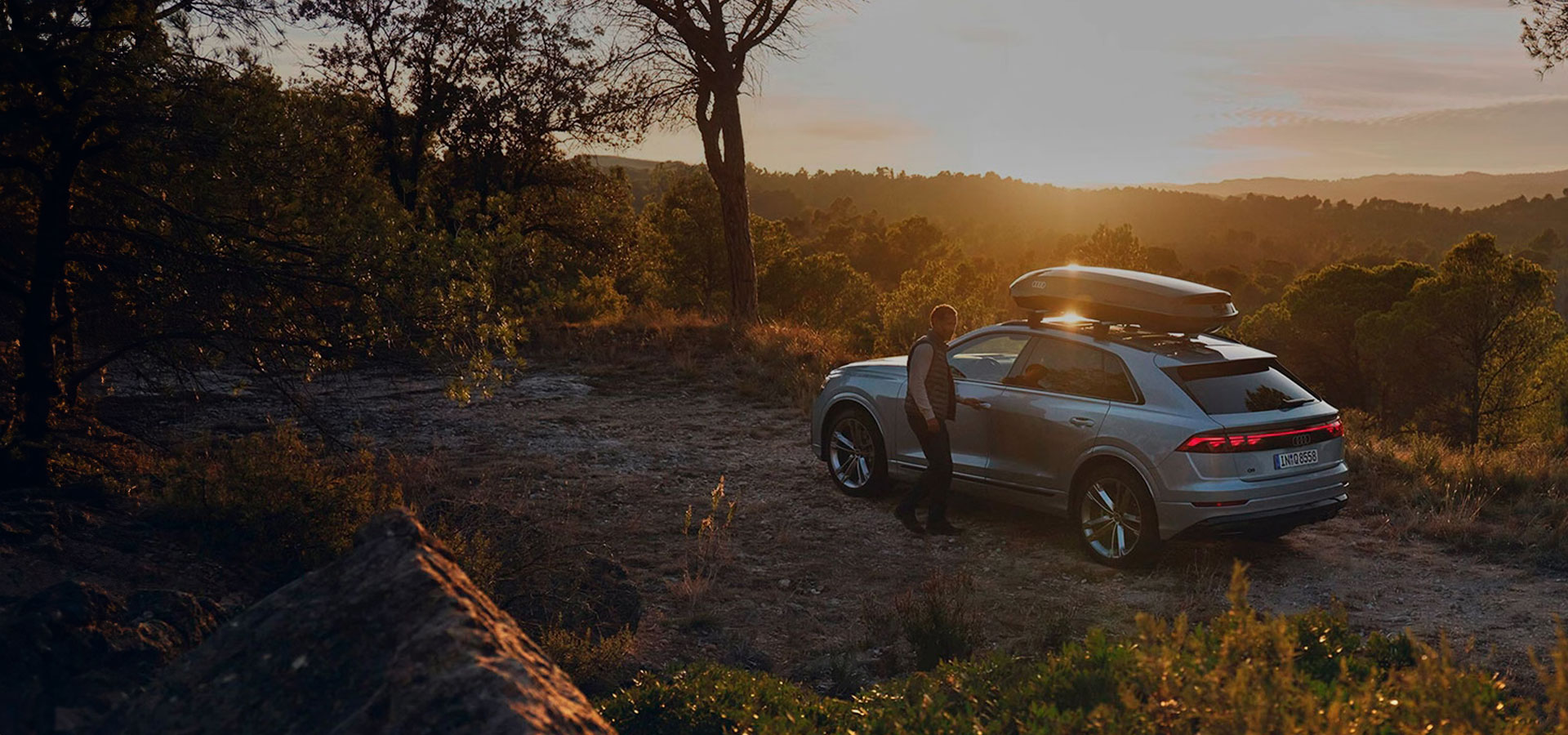 Revisió gratuïta Audi Spring Check