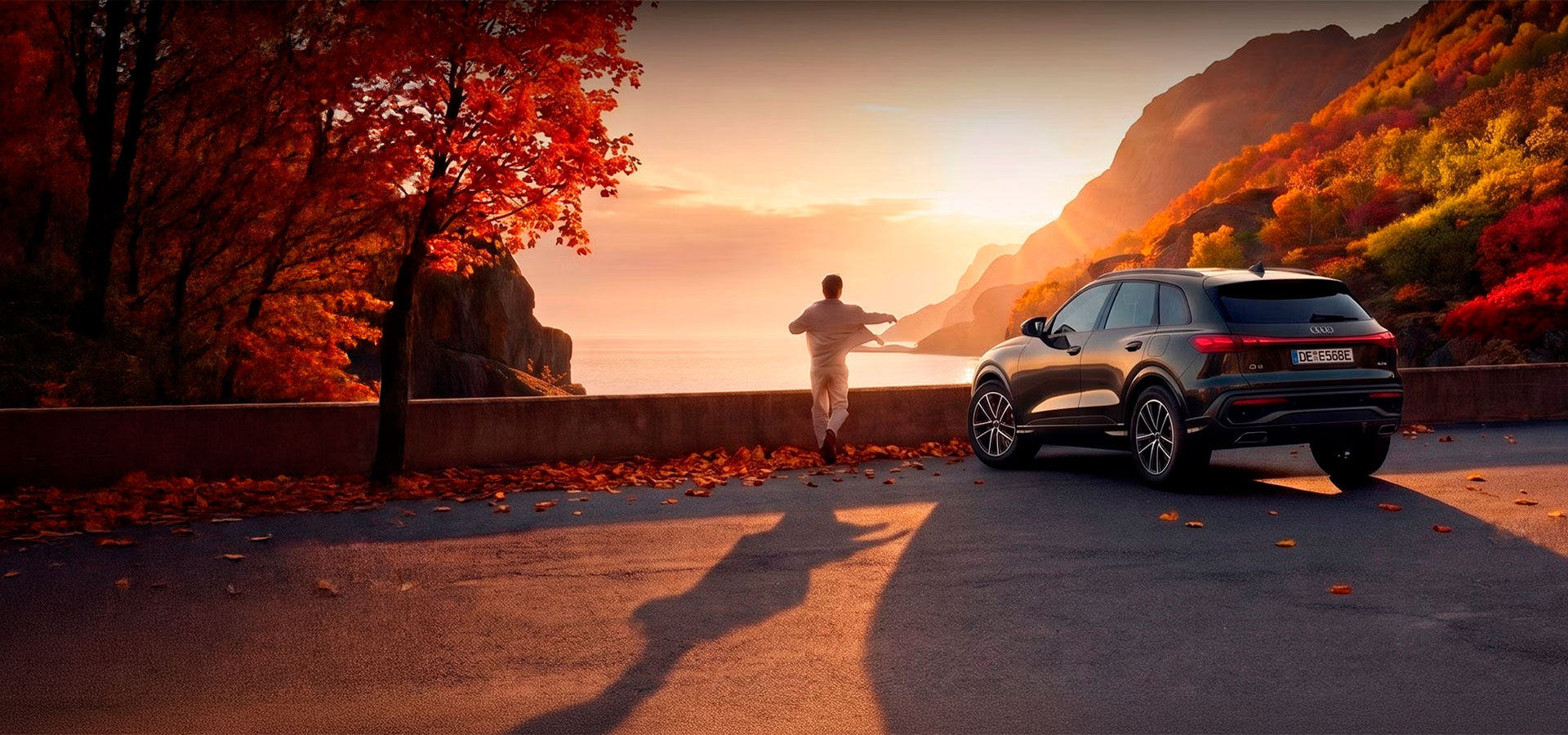 Audi Autumn Check